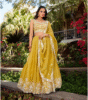 Golden Glow Lehenga