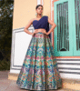 Blue Banarasi lehenga,